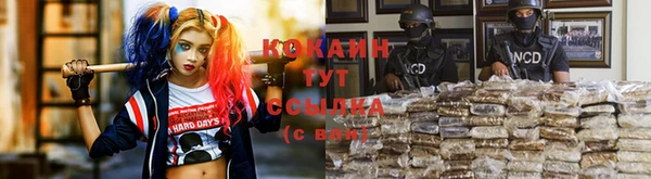 МДПВ Гусев