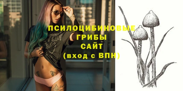 а пвп мука Новозыбков