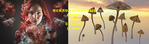 трава Гусь-Хрустальный
