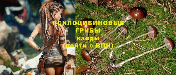 прущая мука Новодвинск