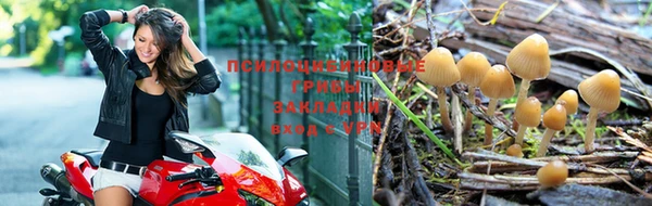 гидра Абинск