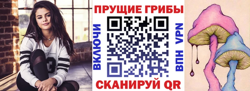Галлюциногенные грибы Magic Shrooms Владикавказ