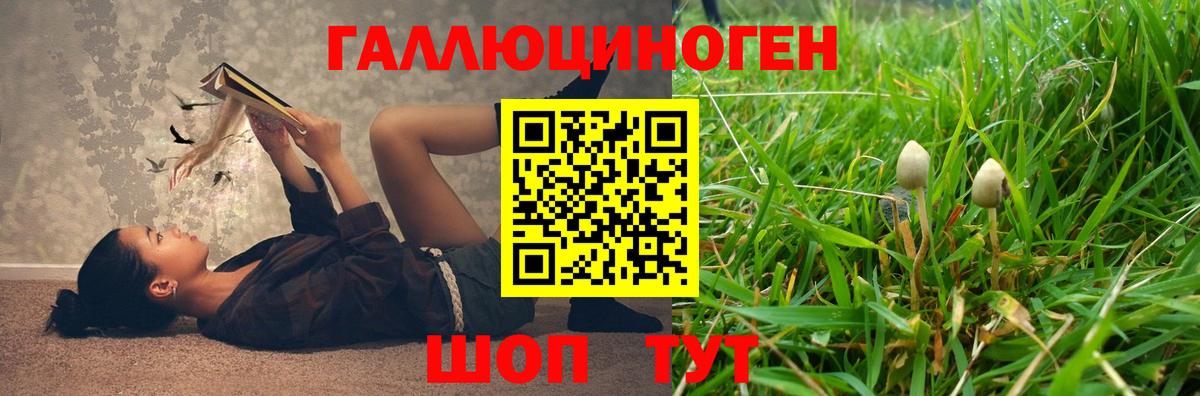 Псилоцибиновые грибы MAGIC MUSHROOMS Владикавказ