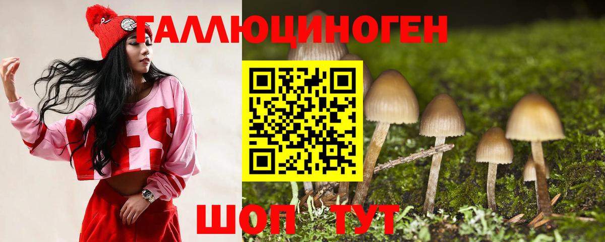 Псилоцибиновые грибы Psilocybine cubensis  Вход с VPN  Владикавказ 